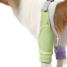 All-Season Dog Front Leg Elbow Protector – Padded Anti-Abrasion Sleeve with Adjustable Elastic Straps for Border Collies and Medium-Large Dogs XXL