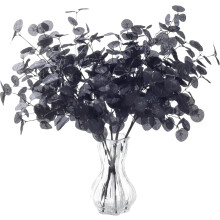 Mustan eukalyptuksen varret 60 cm 6 kpl
