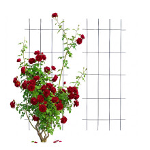 Metal Lattice Trellis Set for Climbing Plants