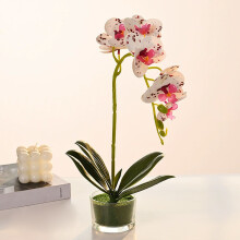 Mesterséges orchidea üvegvázában, 33 cm-es bonsai stílusban