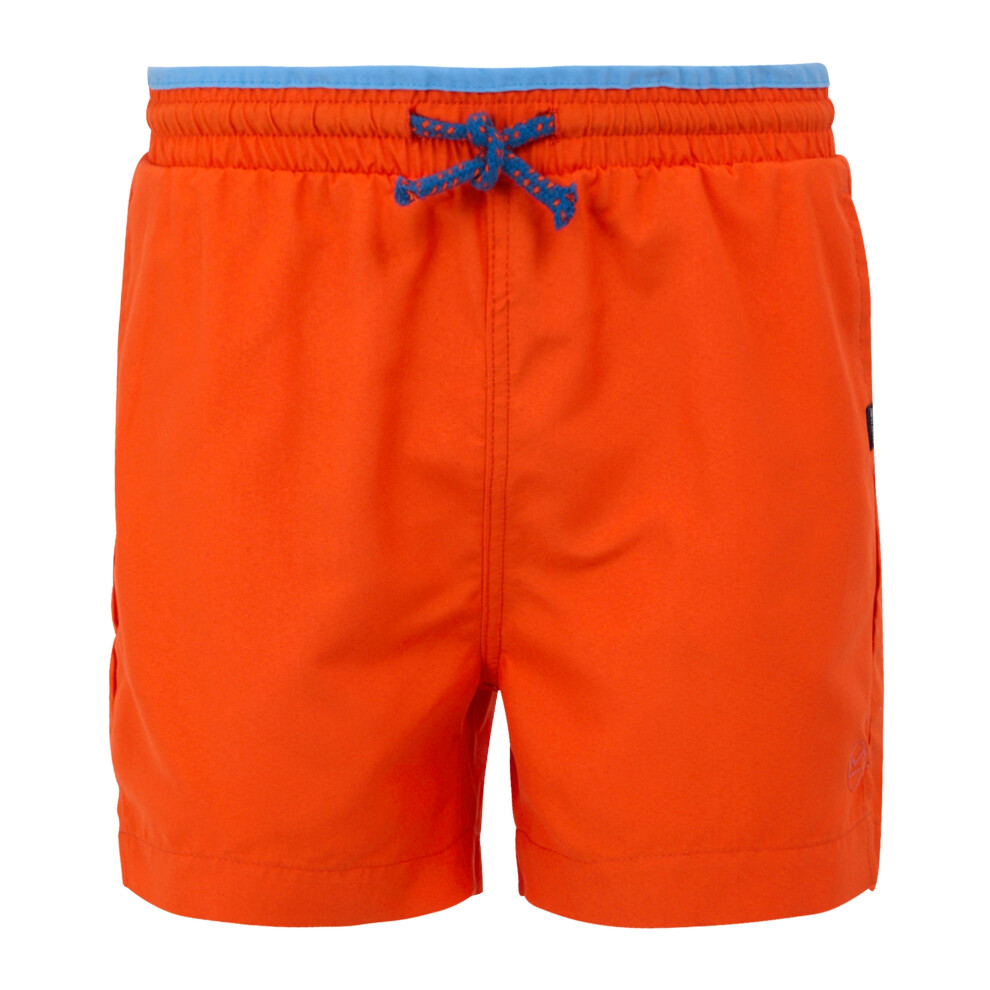 Regatta Childrens/Kids Skander Iii Plain Swim Shorts Multicoloured