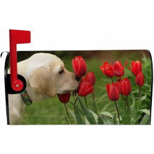 Couvercle magnétique pour boîte aux lettres 53 x 46 cm (21 x 18 po) en polyester Oxford