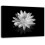 Tableau mural sur toile Lotus noir et blanc – Cadre en pin 1