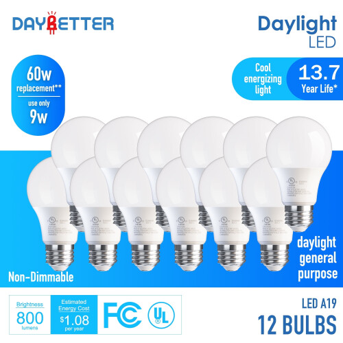 Ampoule LED A19, équivalent 60 W, 5000 K, 800 lm, culot E26