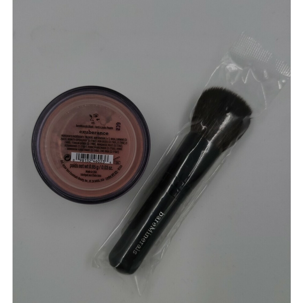 Bareminerals Bare Minerals Exuberance 0.85G & Full Flawless Face Brush
