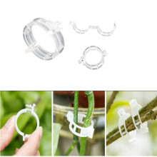 100Stk Pflanzenclips, Pflanzenklammern Tomatenclips Transparent