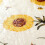 Round tablecloth disposable wipeable 60 inch 5