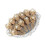 Set van 10 verschillende bewaarde plantengroepen, ideaal-Beige 1