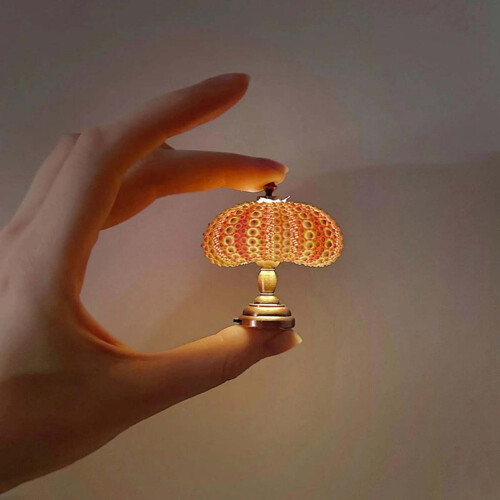 Sjøpølse nattlys mini skrivebordslampe