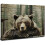 Τέχνη τοίχου σε καμβά με καφέ αρκούδα grizzly 16x20 ίντσες 1