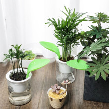 Bewässerungstrichter für Zimmerpflanzen mit Spritzschutz