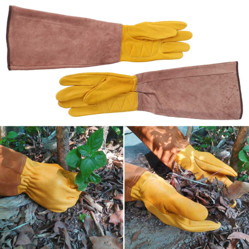 Gartenhandschuhe aus Rindsleder mit Ellbogenbündchen 1