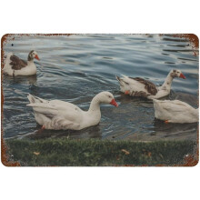 Vintage Schwan Blechschild 8x12 Zoll