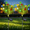 Solar Gardenia Lights 2 Pack – 11-Flower LED Stake 1