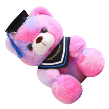 Leuke afstudeerstijl pluche beer cadeau met-roze rood blauw