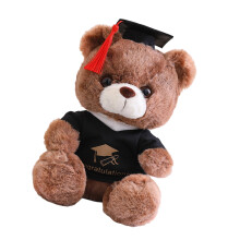 Colorful Graduation Bear Plush Toy With Adorable-dark brown