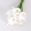 Τεχνητά Λουλούδια Calla Lily Τιρκουάζ 12 τεμάχια 2