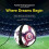 Voetbaldribbelriem Trainingsapparatuur-Roze aangepaste modus 3