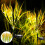 Solar Wheat Ear Lights Warm White 2 Pack 1