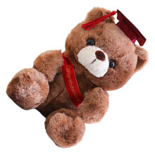 Mooie beerpop voor afstudeercadeau 23 cm zacht-donkerbruin