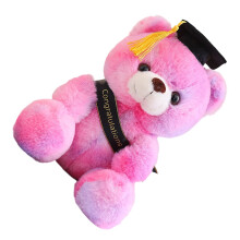 Graduation Bear Gift Plush With Bright Doctor Cap-rose red blue