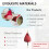Ceramic Bird Wind Chime – Handmade, 5-Bird Design 2