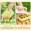 4pcs Effective Food Storage Boxes Having Tight Lids-Green 700 6