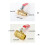 Formed Brass Ball Valves with Red Handle Water-6 points set 2