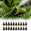 Automatic Sprinkler Rotating Garden Lawn Irrigation System Large 2