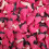 Red Devils 1Kg 4
