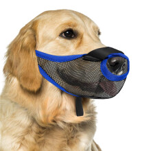 Sangle confortable pour chien, muselière en maille-Bleu M