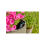 Gardena Gardena Smart Sensor Grey/Turquoise 5
