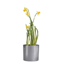 (Silver, 12.5 CM) Cactus Plant Pot Round Plastic Pots Cylinder Modern Decorative high gloss