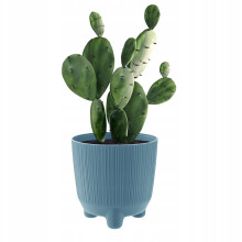 (Scandinavian blue, 15cm) Plant Pots Indoor Outdoor Plastic Flowerpot Small Medium Large RYFO 5 Colours