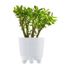 (White, 20cm) Plant Pots Indoor Outdoor Plastic Flowerpot Small Medium Large RYFO 5 Colours