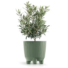(Earth green, 17cm) Plant Pots Indoor Outdoor Plastic Flowerpot Small Medium Large RYFO 5 Colours