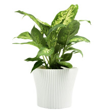(White, 19cm) Ribbed Flower Pot Planter Indoor Outdoor Plastic Modern 11–19cm Multiple Colours