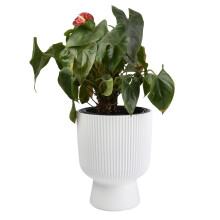(White, 30cm - 18L) Plant Pots Flower Planter 7 Colours 3 sizes Tall Wavy Plastic Pot Boho Elegant
