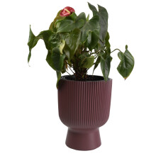 (Marsala, 40cm - 37L) Plant Pots Flower Planter 7 Colours 3 sizes Tall Wavy Plastic Pot Boho Elegant