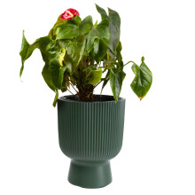 (Pine Green, 30cm - 18L) Plant Pots Flower Planter 7 Colours 3 sizes Tall Wavy Plastic Pot Boho Elegant