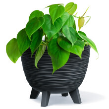 (Anthracite, 29cm Width) Bowl Planter Plant Pot Legs Oval Flower Modern Decorative FURU Indoor 4 Colours