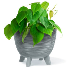 (Grey, 39.5cm Width) Bowl Planter Plant Pot Legs Oval Flower Modern Decorative FURU Indoor 4 Colours