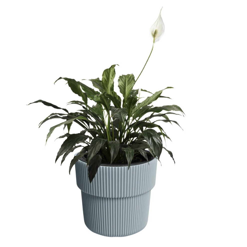 Prosperplast ( W39cm X H37cm) Flower Pot Planter Flowerpot Textured With Insert Indoor Outdoor Modern Elegant Light/Grey