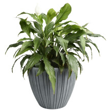 (Concrete gray, Medium - W30cm x H32cm) Round Flower Pot Outdoor Indoor Ridged Planter Pot Textured Decorative Modern