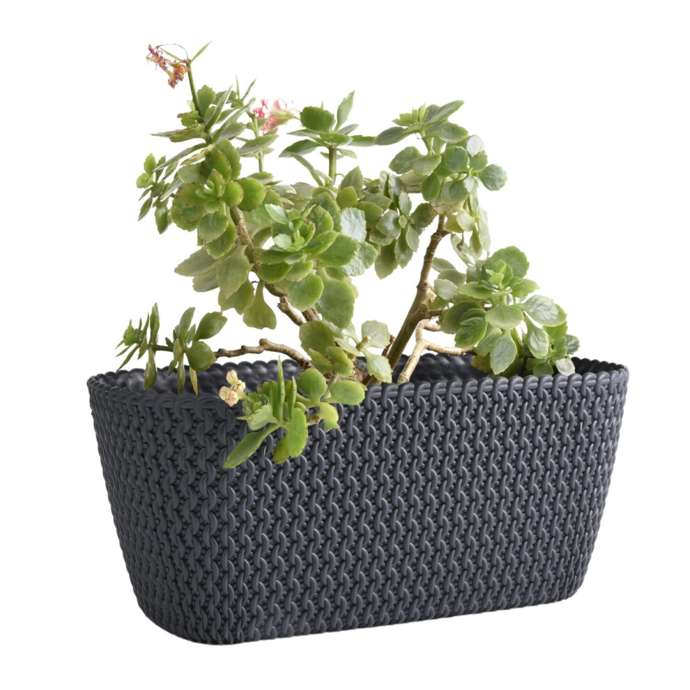 Prosperplast (Anthracite) Rectangle Planter Indoor Outdoor Patio Splofy Plant Pot Case 30Cm 4 Litre