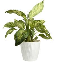 (White, D23.9cm H22.5cm) Flower Pot Planter Round Plastic Wave Textured Flowerpot With Saucer Modern