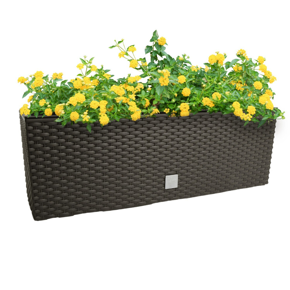 Prosperplast (Umber, L395mm X W185mm) Rectangle Hanging Flowerpot Planter Fence Pot Basket Rattan Look Plastic Hooks