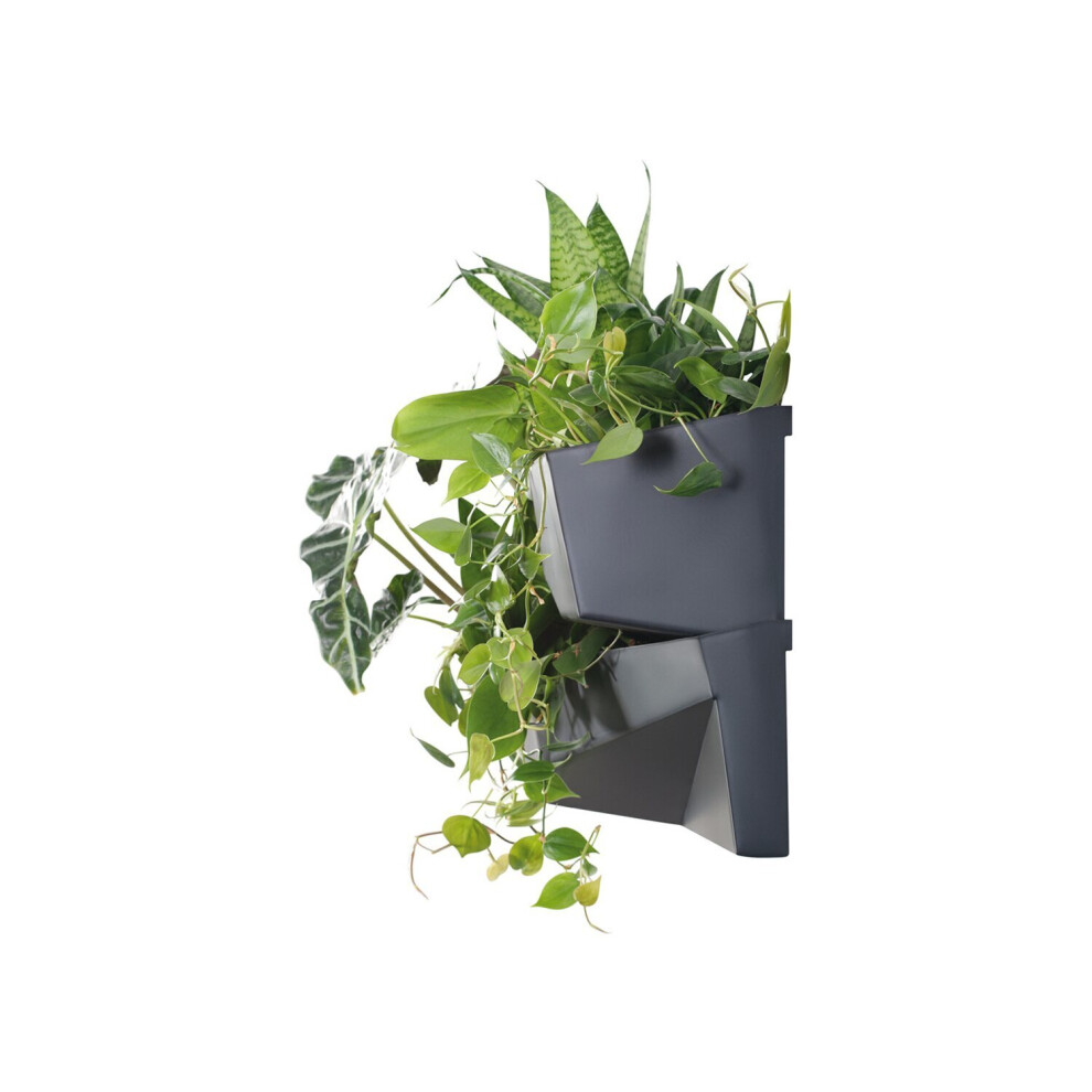 Prosperplast (Levels Cascade) Vertical Standing Garden Flower Pots Cascade Balcony Plant Wall Anthracite