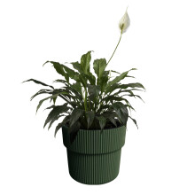 (Pine Green, W29.9cm x H28.5cm) Flower Pot Planter Flowerpot Textured with Insert Indoor Outdoor Modern Elegant