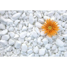 (5kg) Decorative MARBLE Stones EXTRA WHITE Pebbles HOME & GARDEN /AQUARIUM Pot 1-3cm